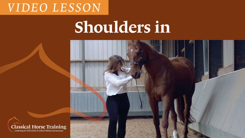 Shoulders in